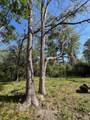 205 3rd Street - Photo 16