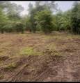 1 Abandon Lane Lane - Photo 1