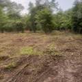 1 Abandon Lane Lane - Photo 8