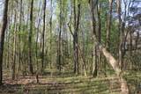 305 Ponderosa Road - Photo 20