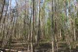 305 Ponderosa Road - Photo 5