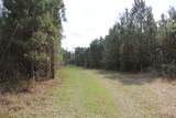 305 Ponderosa Road - Photo 6