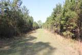 305 Ponderosa Road - Photo 8