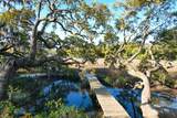 887 Parrot Creek Way - Photo 74