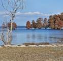 133 Knott Drive - Photo 48