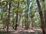 8119 Loafer Glory Lane - Photo 44