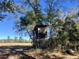 715 Nunuville Road - Photo 9