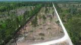 2 Highway 27 - Photo 14