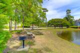 2011 Highway 17 - Photo 35