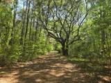 0 Bears Bluff - Photo 1