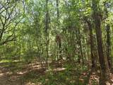 0 Bears Bluff - Photo 3