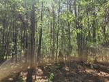 0 Bears Bluff - Photo 5