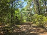 0 Bears Bluff - Photo 6
