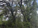 0 Old Back River Road Road - Photo 4