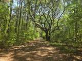 00 Bears Bluff - Photo 1