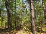00 Bears Bluff - Photo 5