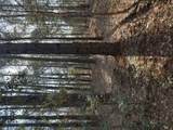 0 Warrior Drive - Photo 4