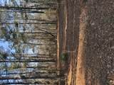 0 Warrior Road - Photo 11