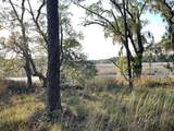 8468 Chisolm Plantation Road - Photo 33