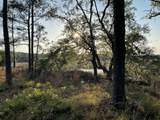 8468 Chisolm Plantation Road - Photo 34