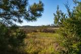 2389 Rushland Landing Road - Photo 11