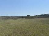 2035 Sol Legare Road - Photo 14