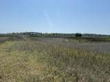 2035 Sol Legare Road - Photo 20