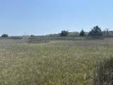 2035 Sol Legare Road - Photo 6