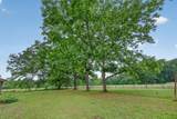 1625 Alexander Circle - Photo 72