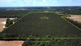 00 New Hope Road - Photo 9