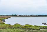 945 Cove Bay Lane - Photo 36