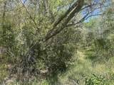 2492 Boy Scout Road - Photo 2