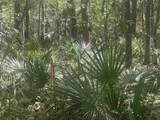 2492 Boy Scout Road - Photo 8