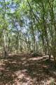 6180 Josie Ridge Road - Photo 11