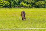 2571 Bryans Dairy Road - Photo 10