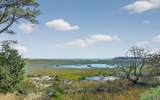 83 Grackle - Photo 28