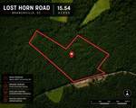 1 Lost Horn Road - Photo 1