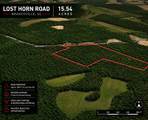 1 Lost Horn Road - Photo 3