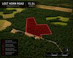 1 Lost Horn Road - Photo 5