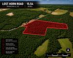 1 Lost Horn Road - Photo 6