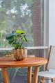 30 Mary Street - Photo 32