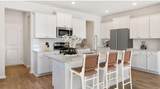 128 Orchard Blossom Lane - Photo 7