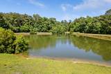 207 Sparkleberry Lane - Photo 45