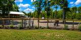 321 Marion Road - Photo 8