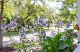 609 Daggett Street - Photo 40