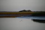0 Cole Island - Photo 4