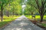 905 Raysor Street - Photo 81
