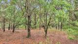 0 Josie Ridge Road - Photo 5