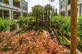 3 Chisolm Street - Photo 17