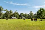 1885 Liberia Road - Photo 62
